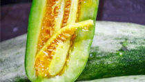 非洲网红吃瓜图片高清壁纸,高清壁纸下的美食诱惑