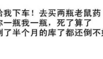 娱乐吃瓜经典语录搞笑版,笑料横飞!娱乐吃瓜语录搞笑大盘点