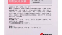 桂枝茯苓胶囊价格,不同规格与地区差异分析