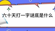 六十天打一字谜底是什么2025年6月24日