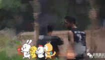 娱乐圈吃瓜许凯,吃瓜群众热议不断