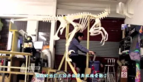 君寻每日娱乐,盘点热门话题，揭秘娱乐圈新鲜事