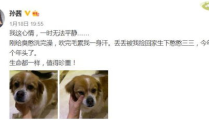 娱乐圈吃瓜小狗小说免费阅读,吃瓜小狗的甜蜜复仇之旅