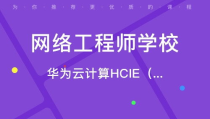 网络工程师培训课程,构建未来IT技术基石